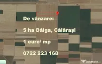 Vând teren agricol – 5 ha, comuna Dor Mărunt, sat Dalga, județul Călărași