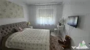 Vila lux 4 camere terasa/beci in Chiajna 