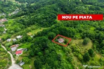 Proprietate de poveste în Corbi, Argeș - Doua case si 6...