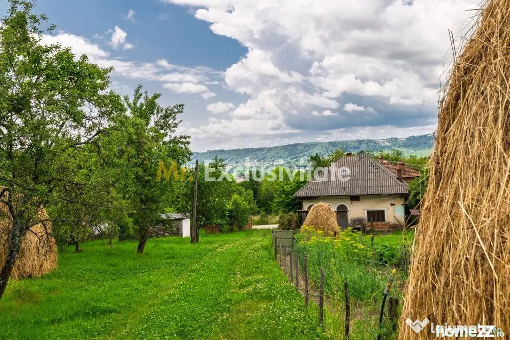 Proprietate de poveste în Corbi, Argeș - Doua case si 6...