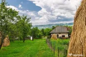 Proprietate de poveste în Corbi, Argeș - Doua case si 6... 