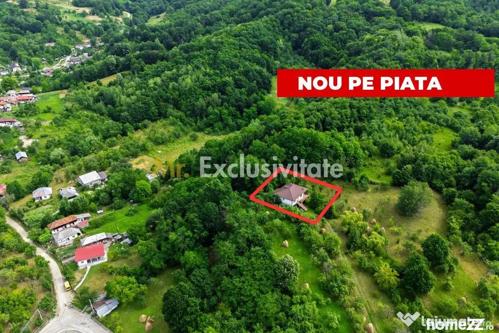 Proprietate de poveste în Corbi, Argeș - Doua case si 6...