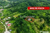 Proprietate de poveste în Corbi, Argeș - Doua case si 6... 