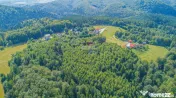 Teren extravilan Poiana Marului 8000mp, inconjurat de padure 