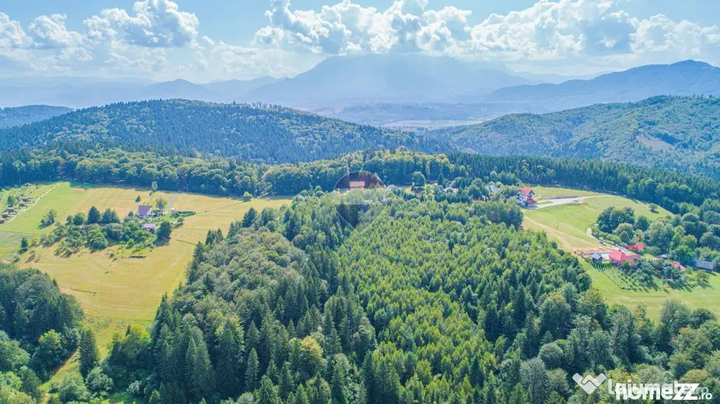 Teren extravilan Poiana Marului 8000mp, inconjurat de padure - Poiana Marului (Brasov)