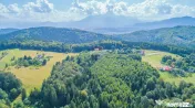 Teren extravilan Poiana Marului 8000mp, inconjurat de padure 