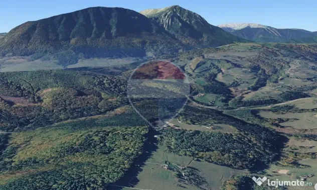 Teren extravilan Poiana Marului 8000mp, inconjurat de padure