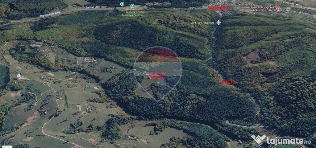 Teren extravilan Poiana Marului 8000mp, inconjurat de padure