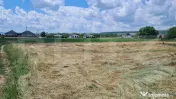 Teren Intravilan, 3600 mp, zona plata, in Jucu de Mijloc