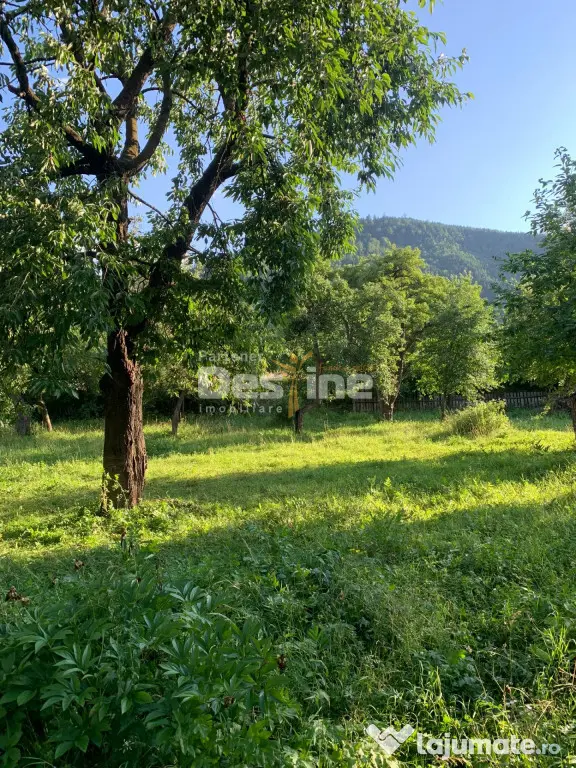 Gospodărie completă cu 2.793 mp teren și multiple anexe,