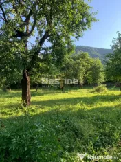 Gospodărie completă cu 2.793 mp teren și multiple anexe,