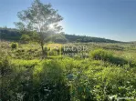 Teren Magura str. Intre Vii Islazului 550 mp