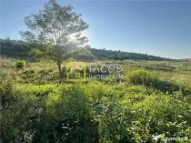 Teren Magura str. Intre Vii Islazului 550 mp