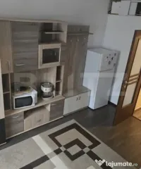 Apartament 1 camera, 27 mp, pet friendly, zona Bulgaria 