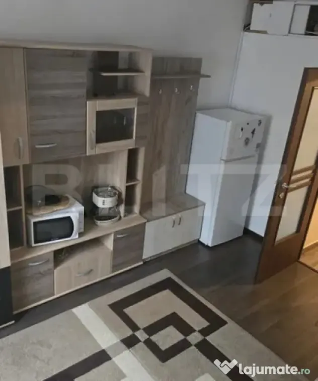 Apartament 1 camera, 27 mp, pet friendly, zona Bulgaria