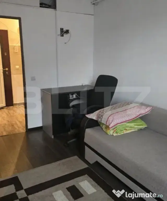 Apartament 1 camera, 27 mp, pet friendly, zona Bulgaria