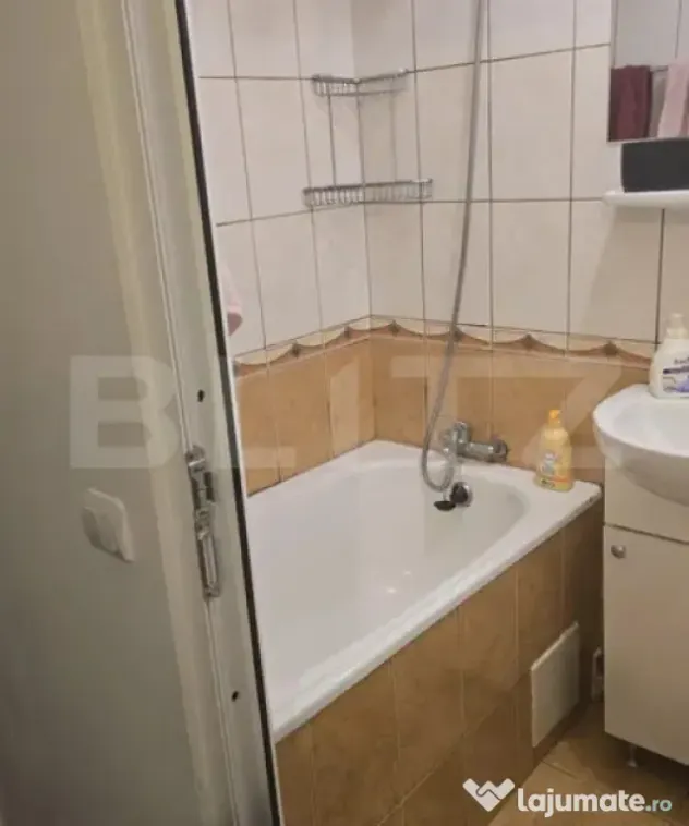 Apartament 1 camera, 27 mp, pet friendly, zona Bulgaria