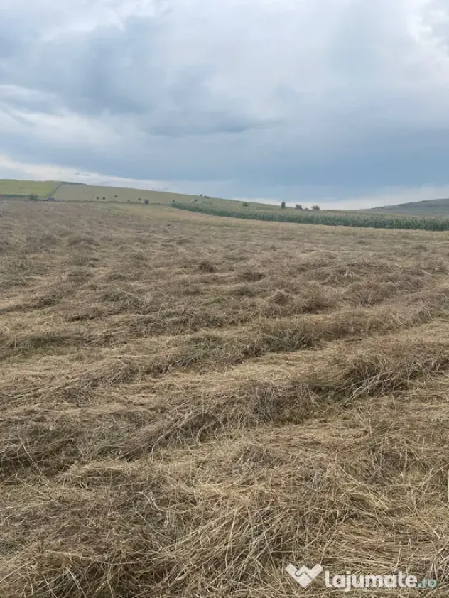 Agricol arabic