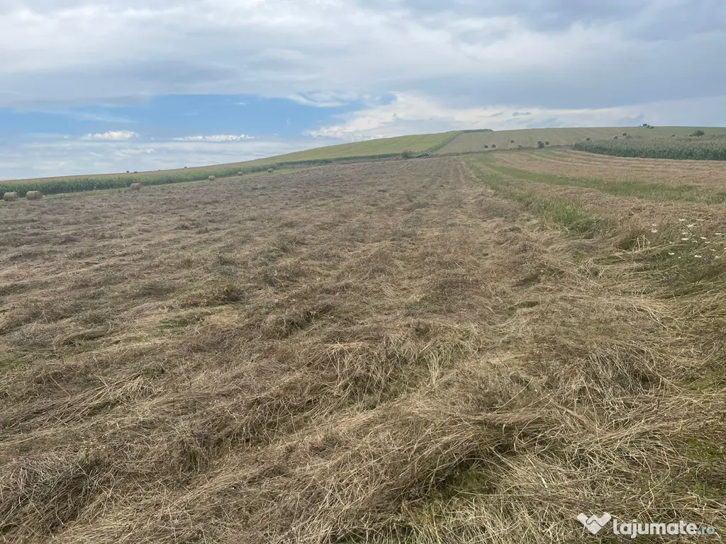 Agricol arabic