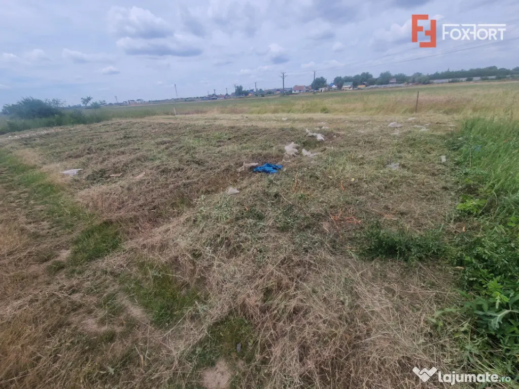 Teren intravilan de 743 mp in Mosnita Veche