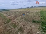 Teren intravilan de 743 mp in Mosnita Veche