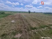 Teren intravilan de 743 mp in Mosnita Veche
