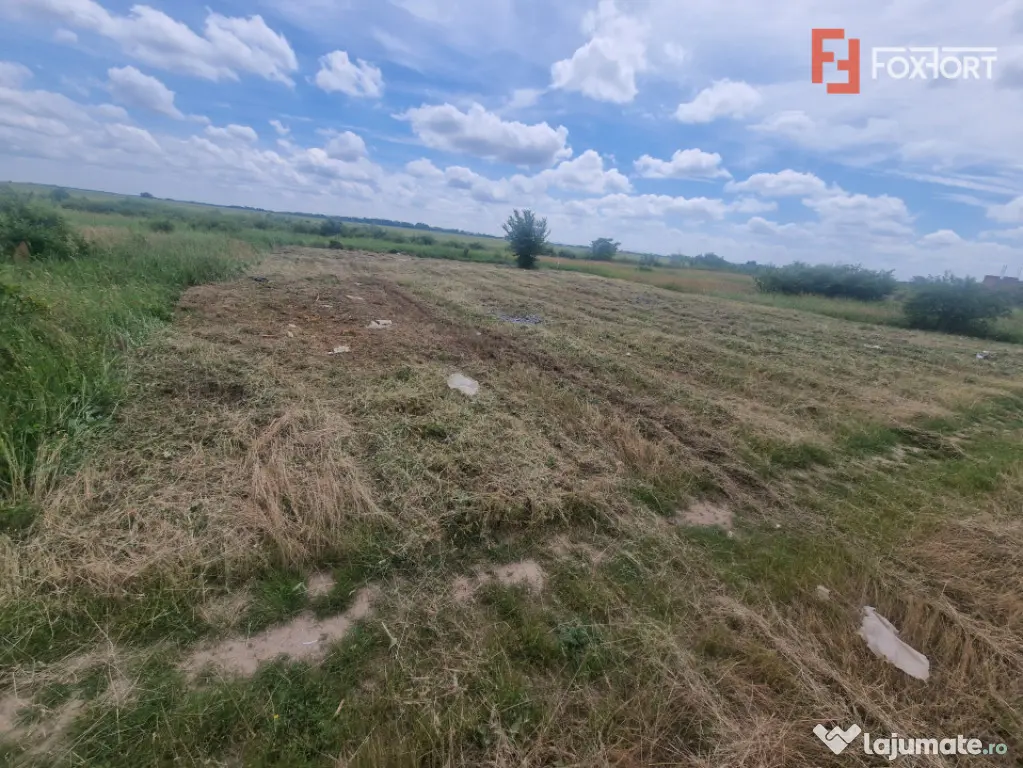Teren intravilan de 743 mp in Mosnita Veche