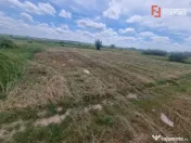 Teren intravilan de 743 mp in Mosnita Veche