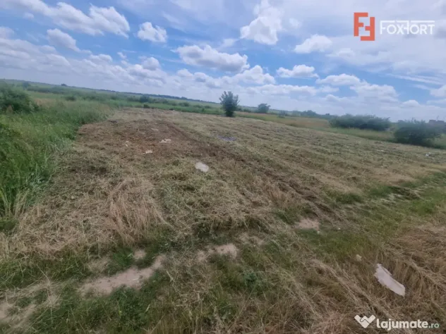 Teren intravilan de 743 mp in Mosnita Veche