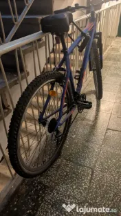 Bicicleta MTB 29 X-FACT