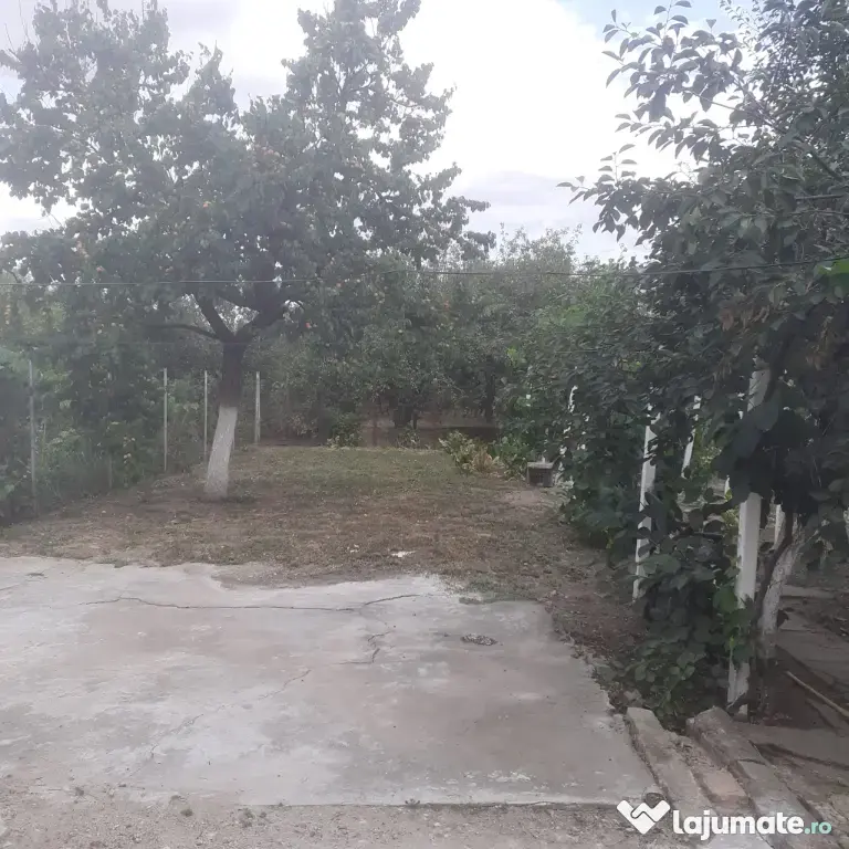 Vand casă în Micalaca