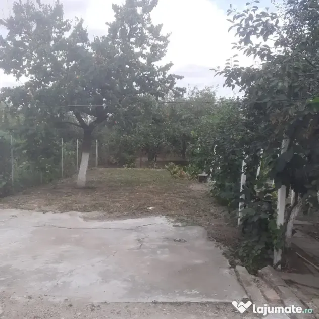 Vand casă în Micalaca
