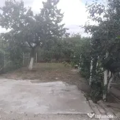 Vand casă în Micălaca