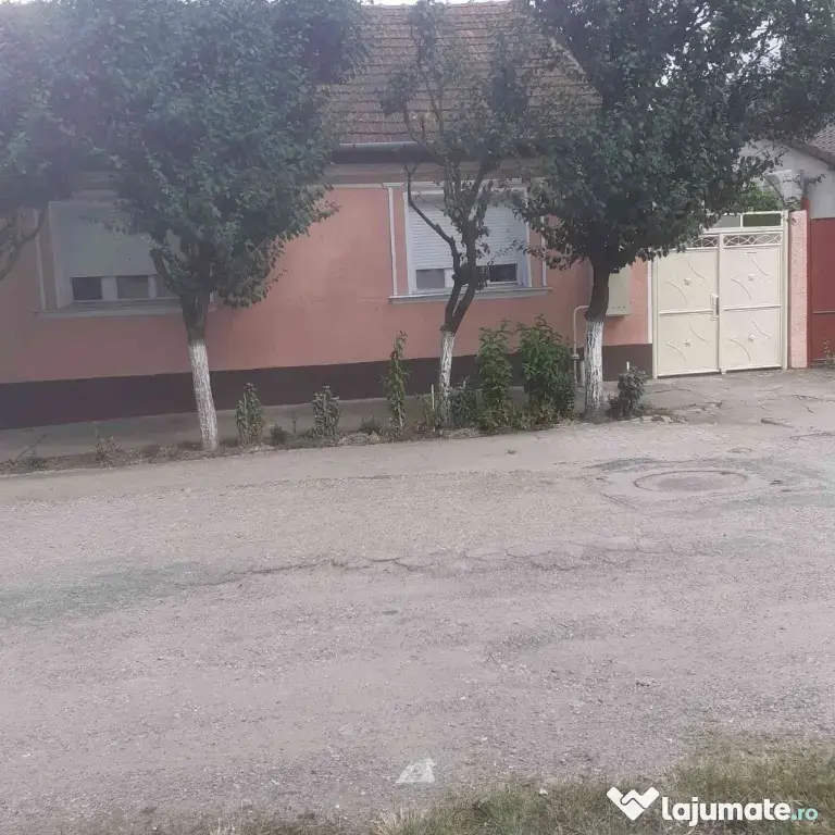 Vand casă în Micalaca