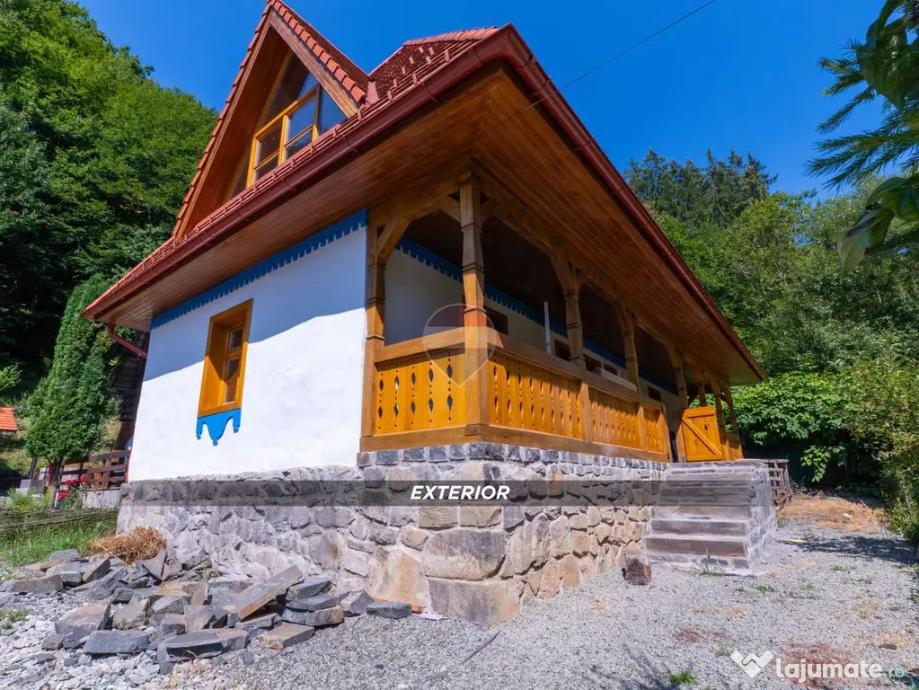 De Vanzare CABANA Valea Neagra, spre Statiunea Izvoare