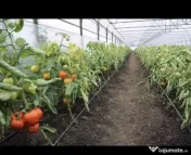 Pamant negru, compost, utilaje