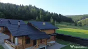Caban#259; din Bu#537;teni de V#226;nzare #238;n Bucovina |