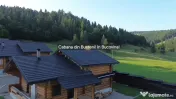 Caban#259; din Bu#537;teni de V#226;nzare #238;n Bucovina |