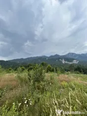 Teren 1000 mp & Proiect Duplex P+E, Sinaia - Zamora, Panoram 