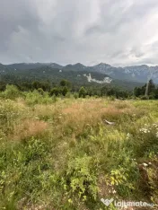 Teren 1000 mp & Proiect Duplex P+E, Sinaia - Zamora, Panoram 