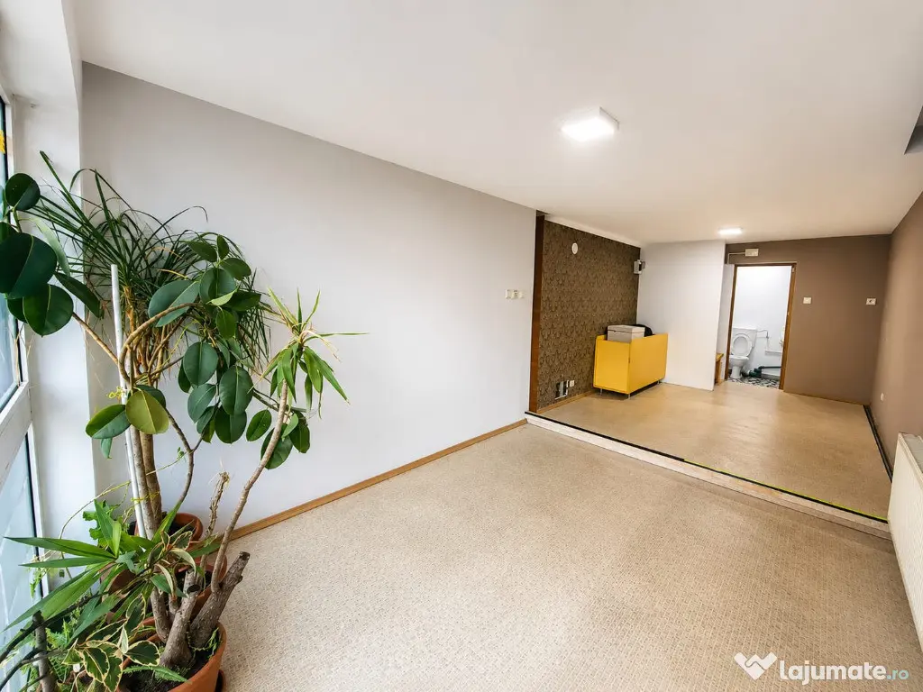 Rudolf 30 mp spatiu comercial