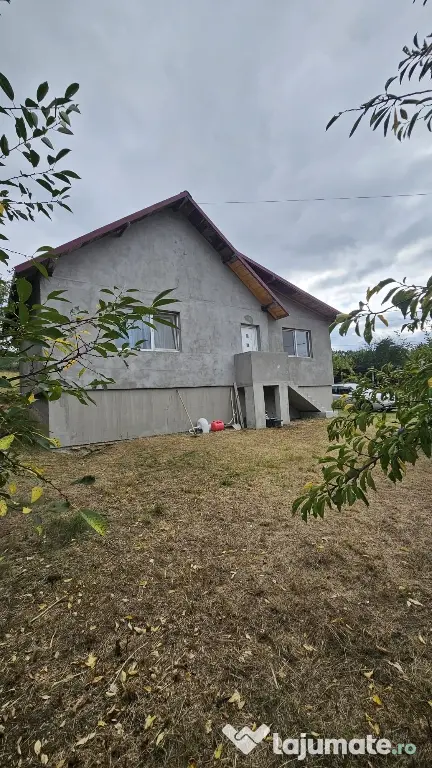 Casa Lunca Cetatuii Ciurea