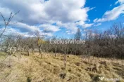 Casa traditionala argeseana – comuna Vedea, jud. Arges