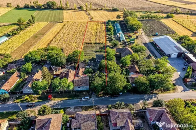 Casă cu teren 3.950 mp | Dorobanți | 63.500 € negociabil