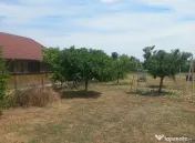 MIHAIL KOGALNICEANU-CASA LA SOL ,TEREN 2000 MP