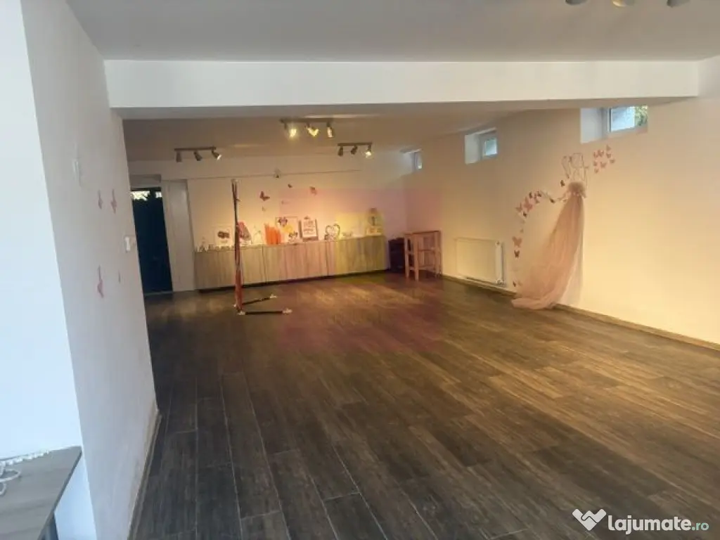 Vila D+P+1+M cu teren 446 mp Drumul Sarii.