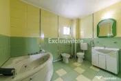Spațiu pentru afaceri de închiriat | 292 mp utili | Gă...