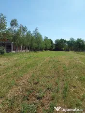 Teren Intravilan 12500 mp Drajna de Sus - Teisani. 