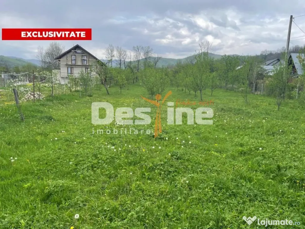 Teren Intravilan 12500 mp Drajna de Sus - Teisani. - Drajna De Sus (Prahova)