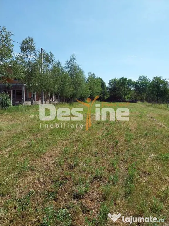 Teren Intravilan 12500 mp Drajna de Sus - Teisani. - Drajna De Sus (Prahova)